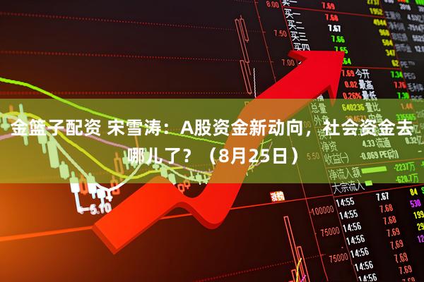 金篮子配资 宋雪涛：A股资金新动向，社会资金去哪儿了？（8月25日）