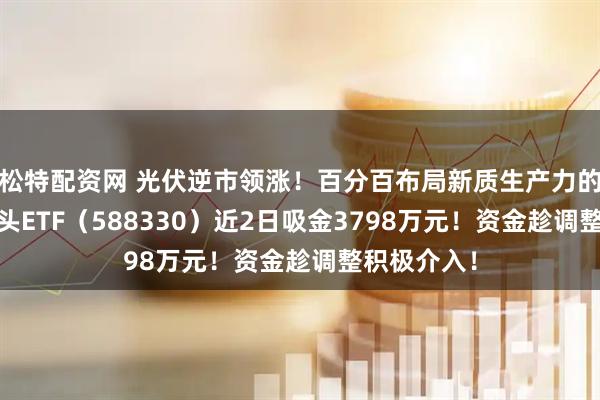 松特配资网 光伏逆市领涨!百分百布局新质生产力的——双创龙头ETF(588330)近2日吸金3798万元!资金趁调整积极介入!