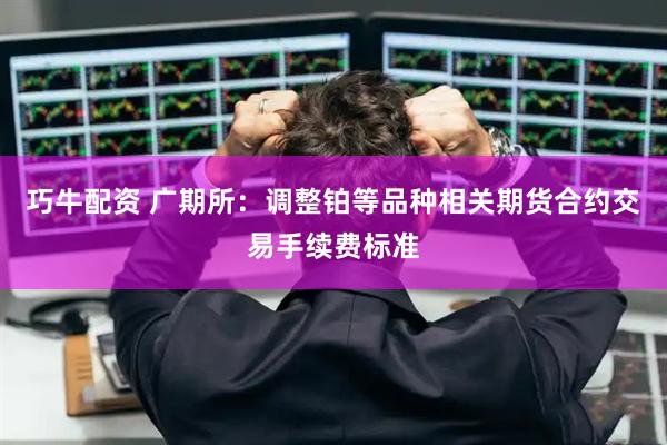 巧牛配资 广期所：调整铂等品种相关期货合约交易手续费标准